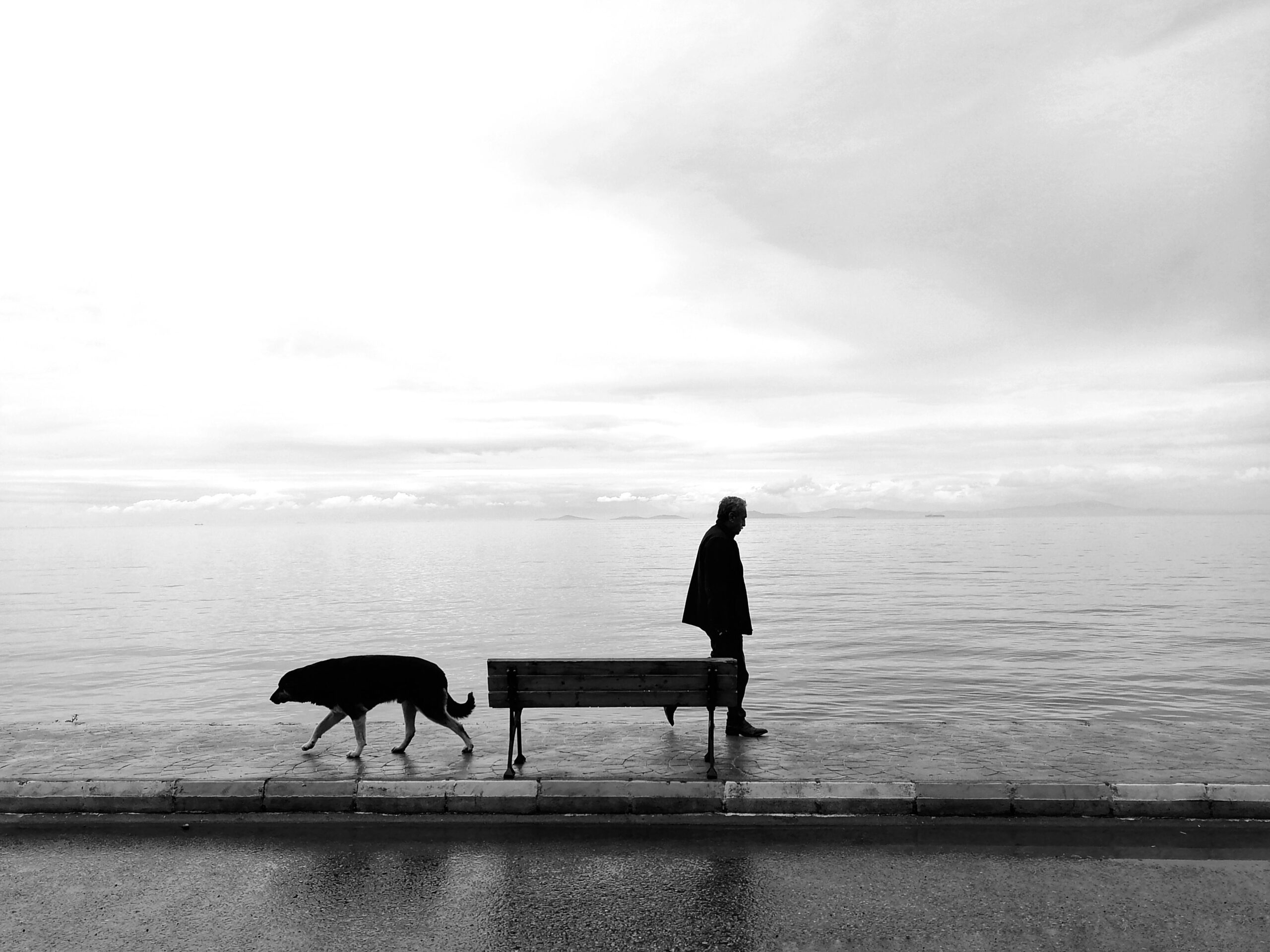 Foto in bianco e nero con una panchina e una persona che ha un cane alle spalle, utilizzata come metafora della solitudine nel puppy blues.